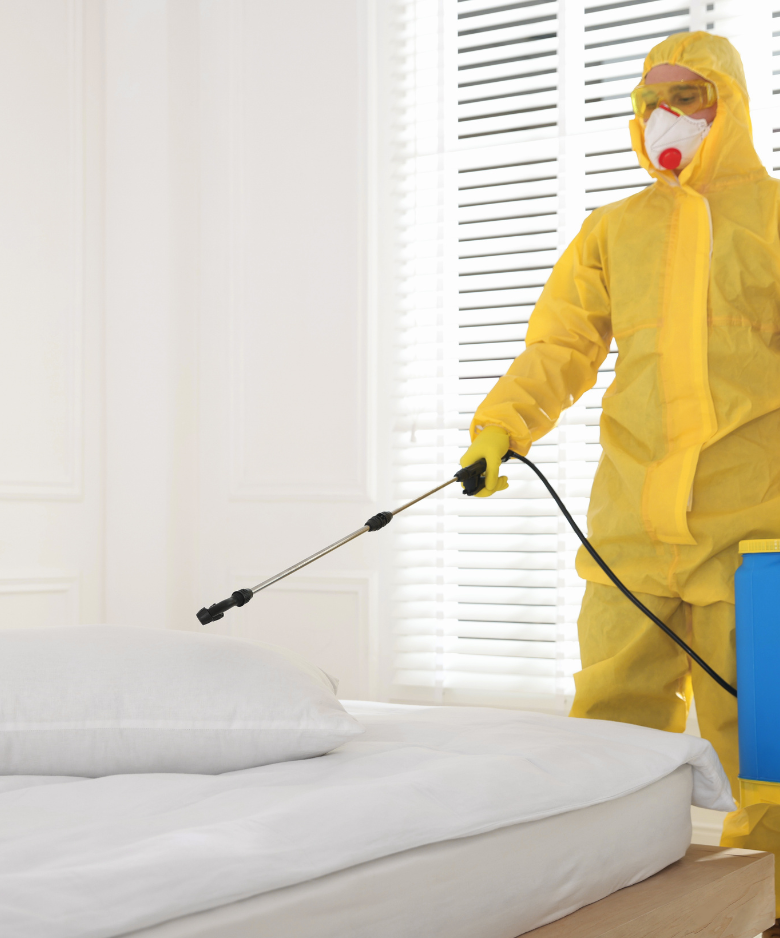 Professional Pest Control Team in Bowden